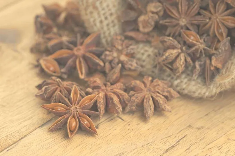 Aceite Esencial de Anís Estrellado (Illicium verum Hook. f.)